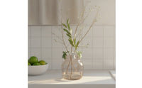 Propagation Stem Clip Easy to Use Plant Propagation Companion & Reusable Vase Rim Plant Clip for Kids, Office, Desktop, Home Decor