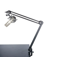 Mic Stand Arm with Desk Mount Clamp Foldable Mic Stand Arm Stable for Podcasters, Participants, Livestreaming
