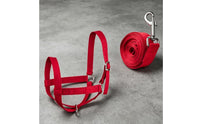 Cow Halter leading Rope Set Heavy Duty Adjustable Cattle Halter Breakaway Design Nylon Cattle Headgear for Farmers, Veterinarians, Farm, Ranch