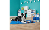 Dog Cooling Mat Washable Pet Cooling Mat Easy to Clean for Dogs, Cats, Summer, Travel, Car