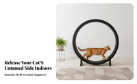 Feline jogning Wheel Spacious cylinder feline Treadmill Stable Base Pet Exercise apparatus for feline companions, Small Dogs, Indoors, Living Room, Home