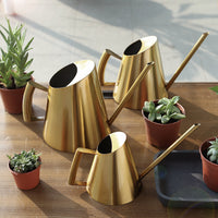 Vintage Stainless Steel Watering Can for Indoor Plants, Small Tapered Design