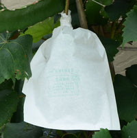 White All-Wood Pulp Grape Protection Bags - Sunscreen, Waterproof, Insect and Bird Proof Paper Bags for Grapes