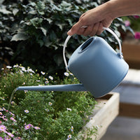 Large Capacity Plastic Watering Can for Garden and Indoor Plants