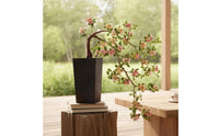 Artificial Flowering Tree Realistic Potted Faux Floral Tree Decorative Faux Potted Plant with Flowers for Entryway, Office