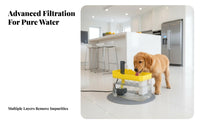 Large Capacity Automatic Pet Water Fountain Quiet Operation Cat Water Fountain Easy to Clean for Cats, Dogs