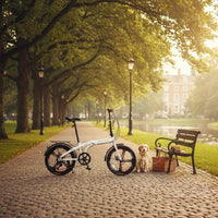 Folding Bike with Disc Brakes Alloy Wheels 20 Inch Folding Two-Wheeler High-Carbon Steel Frame Portable Street Bike for Commuters, Students, Commuting