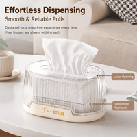 Oval Acrylic Tissue Box, Transparent Removable Lid Tissue Box Holder, 24x15x11.5cm Desktop Tissue Box Cover for Living Room, Office