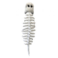 Dinosaur Skeleton Headpiece Child Size Stuffed Skeleton Suit Piece Vacuum Compressed for Children