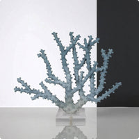 Coral Sculpture with Acrylic Base Coastal Coral Sculpture Elegant Ornament for Entryway