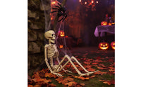 Spooky Plastic Skeleton Decorative Skeleton Prop Scary Decorations Realistic for Halloween, Haunted House, Party