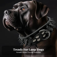 Studded Dog Heavy Duty Large Breed Dog Rustproof Hardware Pet Supplies for Hunters, Daily Wear, Outdoor Walks, Training