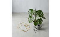 Plant Stem Gathering Hoop Thickened Wire Metal Plant Support Frame Versatile Use Gardening Supplies for Houseplant Owners, Gardeners, Indoor, Balcony