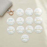 13 Pieces Monthly Developmental Discs Baby Developmental Discs Botanical
