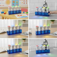 4 Pieces Flashlight with Color Portable Handheld Torch for Kids, Classroom, Kindergarten