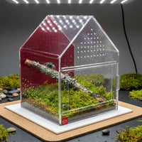 Breathable Design Jumping Arachnid Enclosure Easy Assembly Breeding Box Terrarium