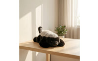 Honey Badger Stuffed Toy Lying Honey Badger Plushie Cuddle Pillow Prone Soft for Children, Bed, Sofa