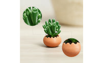 Dollhouse Succulent Tiny Miniature Succulent with Planter Miniature Potted Plants Artificial Ornament Faux for Crafters
