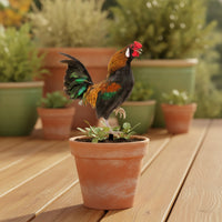 Garden Stake with Cockerel Acrylic Cockerel with Stake Chicken Yard Art Double-Sided Colorful for Gardeners, Lawn, Flower Bed