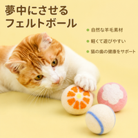 pet toy balls