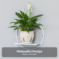 drilldamageno-cost Installation Semi-Circle Pot Rack Easy to Install Plant Holder Minimalist Design vertical surface Mounted Display Space-Saving for Renters, Apartment Dwellers, Home Decorators, Balcony, Living Room, Entrymethod, Hallmethod