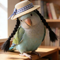 Small Pet Hat Bead Accent Plaid Ribbon Straw Hat Handmade-Inspired for Birds