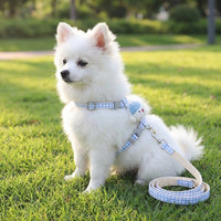 Small Dog Harness and Pet Walking Leash Set, Nylon Material H-shaped Puppy Harness, Non-Retractable Pet Walking Harness for Small Dogs