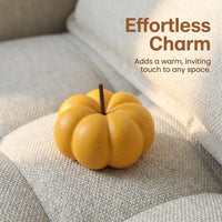 Gift for Women Ceramic Pumpkin Figurine with Iron Base for Living Room Decor, Decorative Ornament for Cabinet Display, Ready to