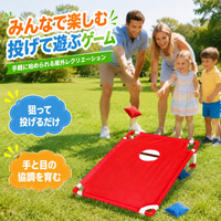 bean bag toss game set