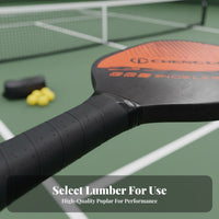 2 Paddle 4 Sphere Pickleball Kit Lightweight Wooden Pickleball Paddle Set Sports Equipment Sturdy Comfortable Grip for Beginners