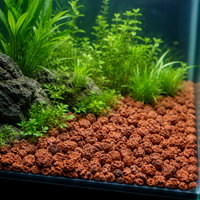 Red Lava Rock 6-9mm 5kg Aquarium Filter Media, For Aquatic Plant Growth, Bacteria Colonization, Aquarium Layout Stone