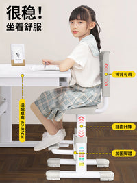 儿童学习椅子调节书桌凳子家用写字作业学校专用可升降小学生座椅 标准升降款 公主粉