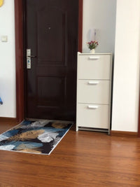 超薄翻斗两层矮鞋柜简约家用进门口外窄款小尺寸省空间简易低鞋架