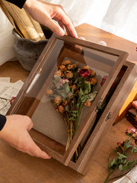 标本相框立体昆虫植物干花diy墙面装饰贝壳收纳盒画框徽章拍立得 有机玻璃20寸+画布尺寸30*40cm 深胡桃色