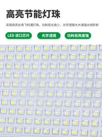 上海亚明蚂蚁投光灯led户外照明超亮厂房防水广告招牌隧道泛光灯 高亮投光灯100W-白光