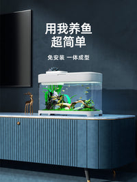 懒人鱼缸免换水家用桌面生态客厅小型自循环2025新款办公桌小鱼缸 免打理生态鱼缸+粉珊瑚造景（店铺热销）