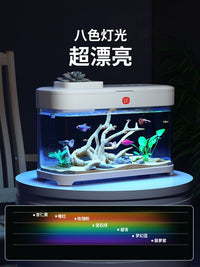 懒人鱼缸免换水家用桌面生态客厅小型自循环2025新款办公桌小鱼缸 免打理生态鱼缸+粉珊瑚造景（店铺热销）