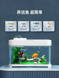 懒人鱼缸免换水家用桌面生态客厅小型自循环2025新款办公桌小鱼缸 免打理生态鱼缸+粉珊瑚造景（店铺热销）