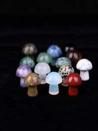 新品天然水晶矿物标本小蘑菇原石儿童教学奇石彩色石头科普摆件