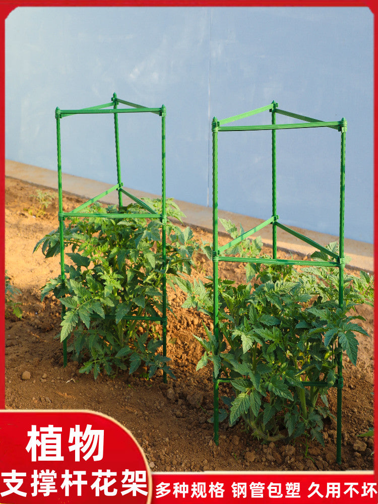 西红柿架番茄杆茄子辣椒种植支架爬藤架月季花支架花卉植物固定架