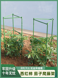 西红柿架番茄杆茄子辣椒种植支架爬藤架月季花支架花卉植物固定架