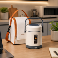 electric heated lunch box