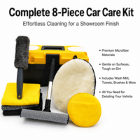 car cleaning kit