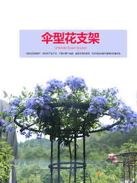 植谜户外伞形玫瑰爬藤架月季铁线莲攀藤蘑菇蔷薇花架绿植支架杆