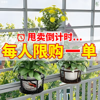 阳台花架置物架花盆托架悬挂护栏挂式铁艺栏杆2024新款室外花架子