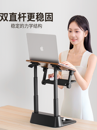 赛鲸D8笔记本电脑支架增高办公桌站立式电脑架工作台升降桌电脑桌