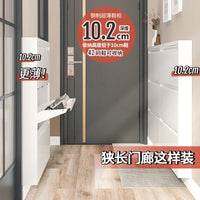 信工全屋钢制超薄鞋柜10cm家用室内防尘简约极窄斜插式入户玄关柜 升级静音505两斗 包安装