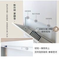 信工全屋钢制超薄鞋柜10cm家用室内防尘简约极窄斜插式入户玄关柜 升级静音505两斗 包安装