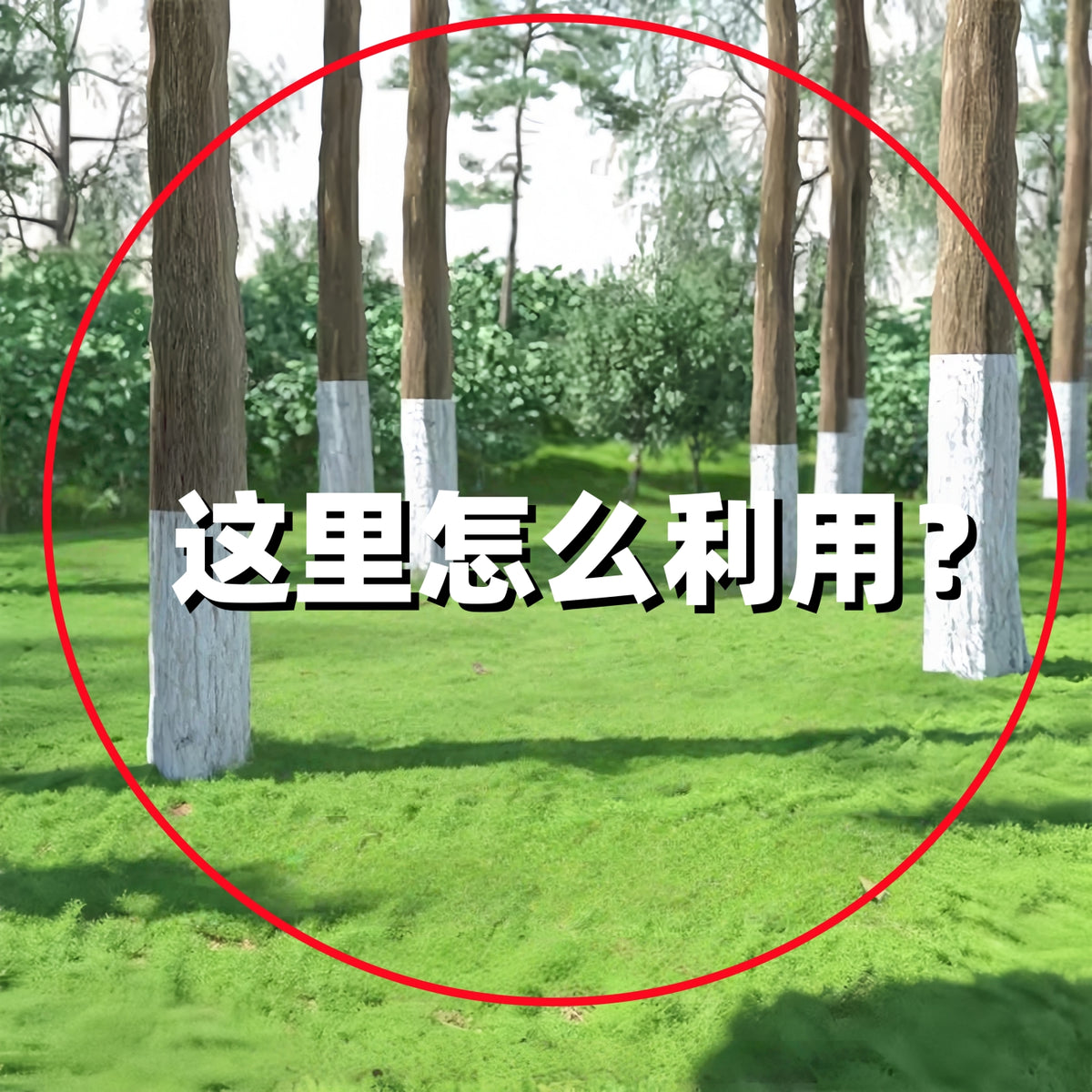 新吊床户外秋千成人儿童加厚家用露营防侧翻懒人吊椅宿舍寝室学生