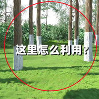 新吊床户外秋千成人儿童加厚家用露营防侧翻懒人吊椅宿舍寝室学生